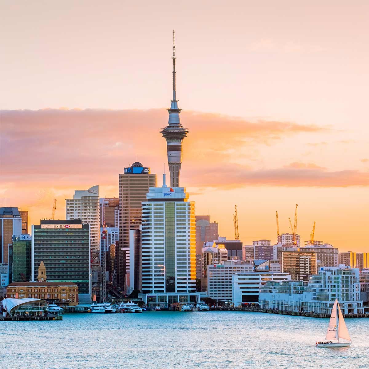 Auckland City Skyline