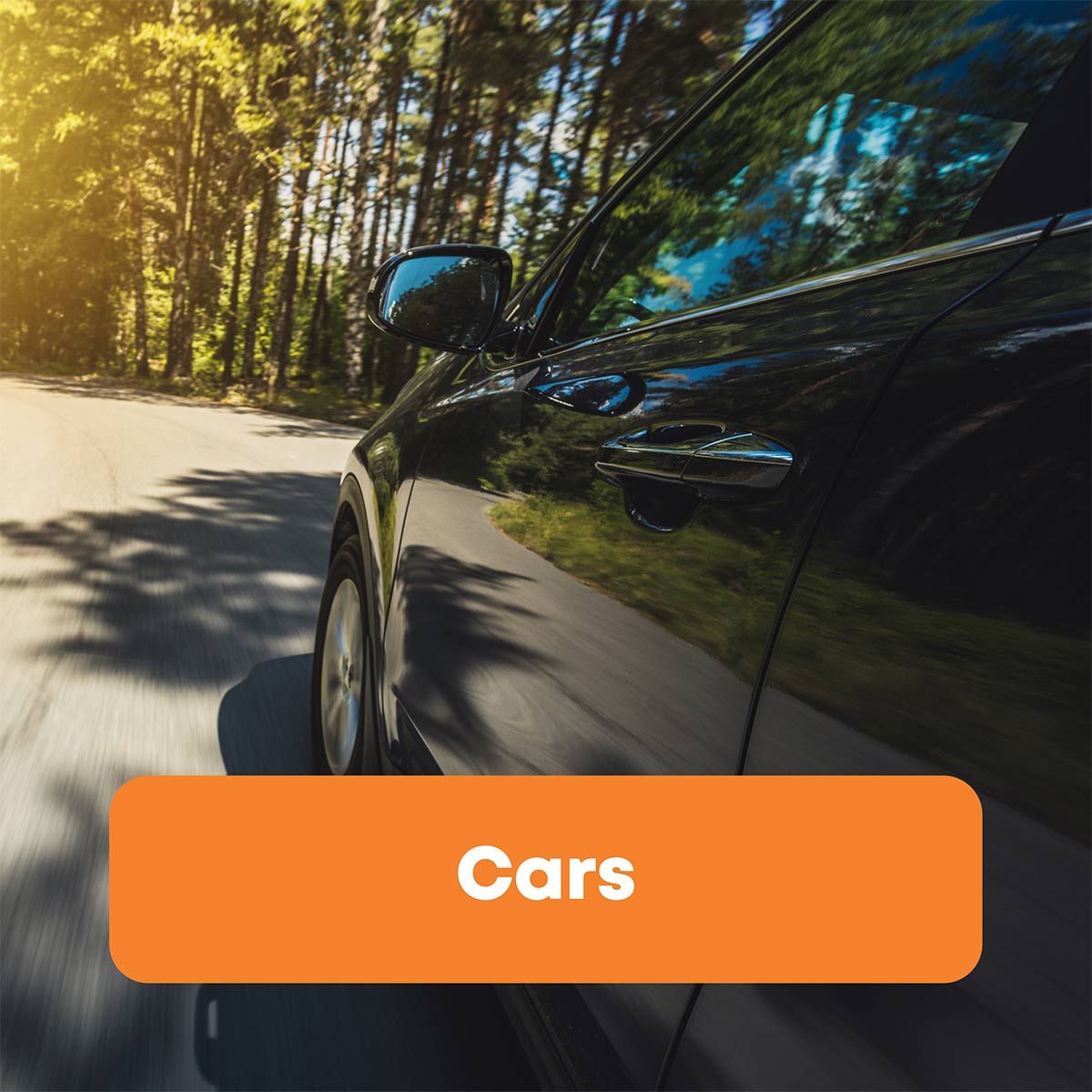 rental car driving in New Zealand