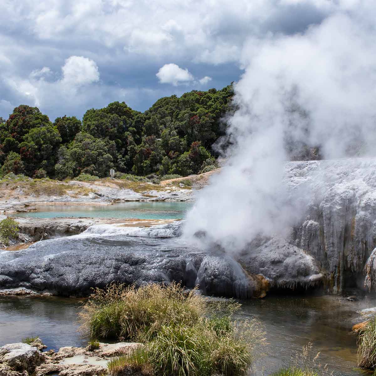 Rotorua