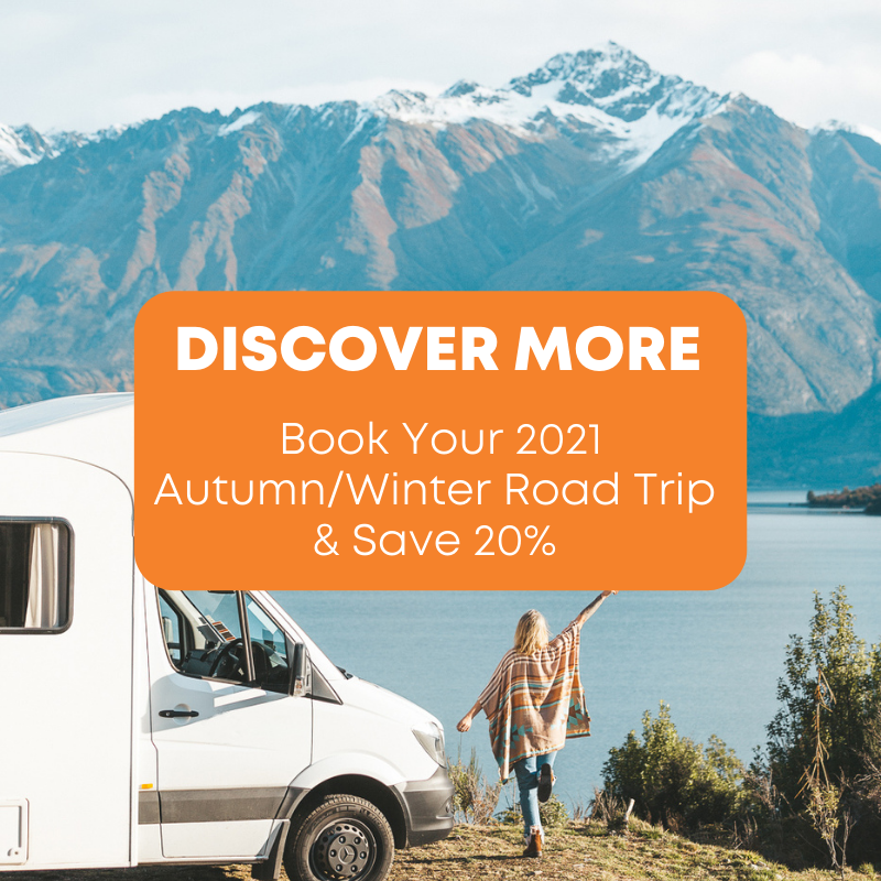 Discover More of NZ in 2021 Special