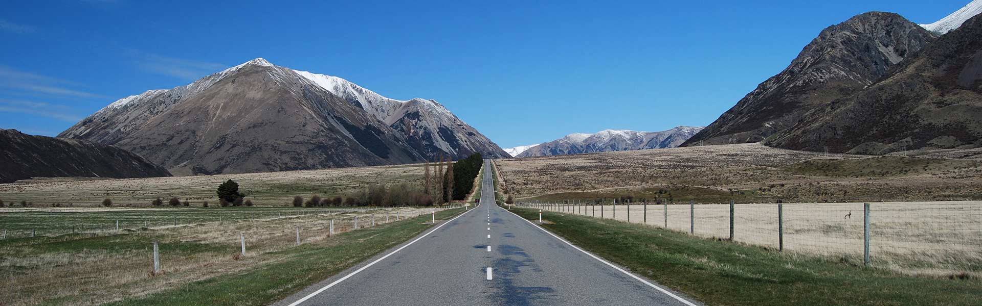 Stunning driving road in New Zealand Image Credit: Tourism New Zealand
