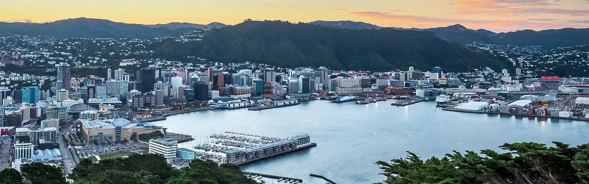 Wellington City Skyline