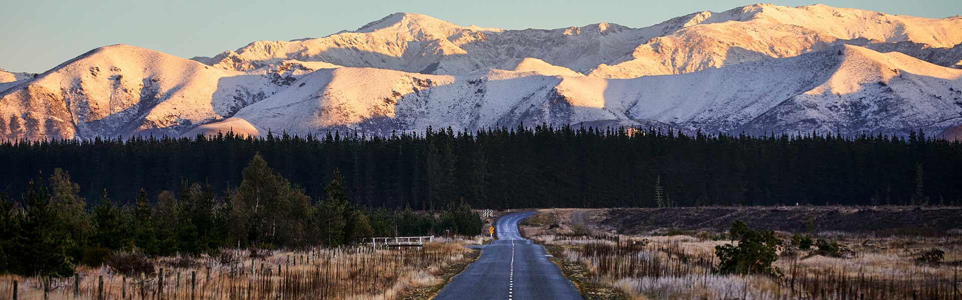 New Zealand scenic road Image Credit: Matt Crawford